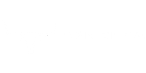 Bandera Leather