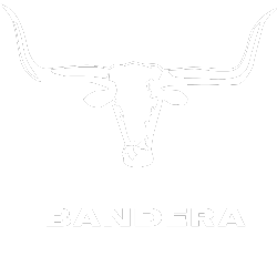 Bandera Leather